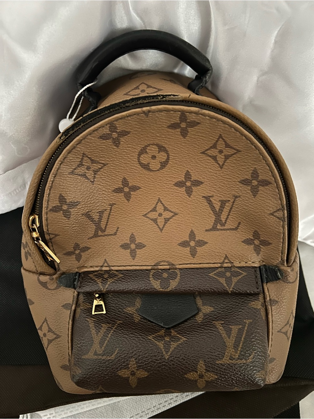 LV Palm Springs Mini